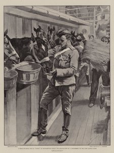 Celos